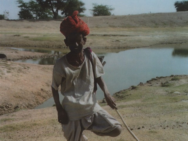 Marwari herder
